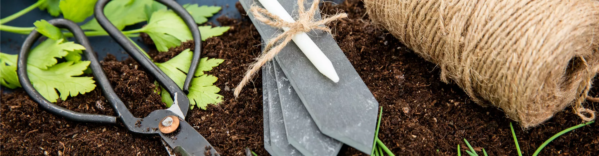 Aussaat - Pflanzenschild