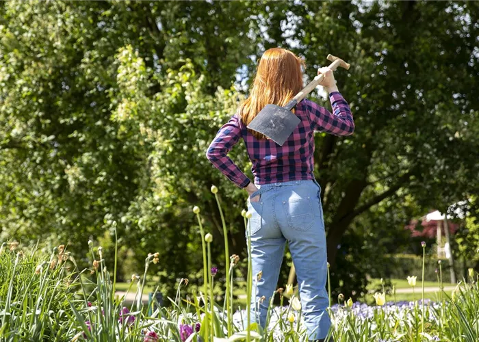 Der Gartenboden – jeder braucht mal Unterstützung