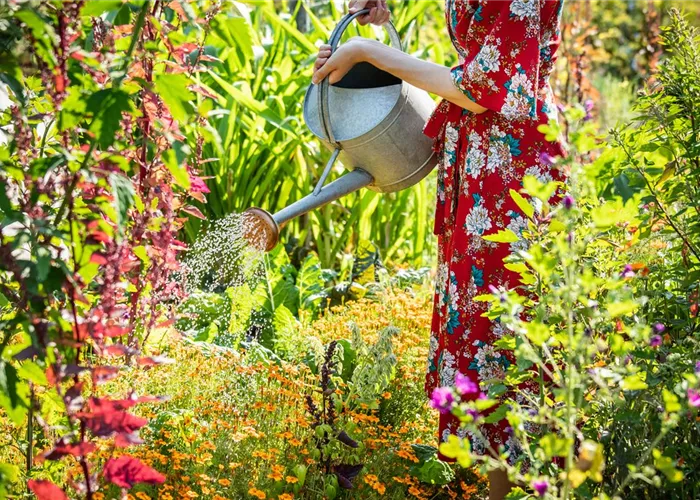 Ausbildung / Praktikum